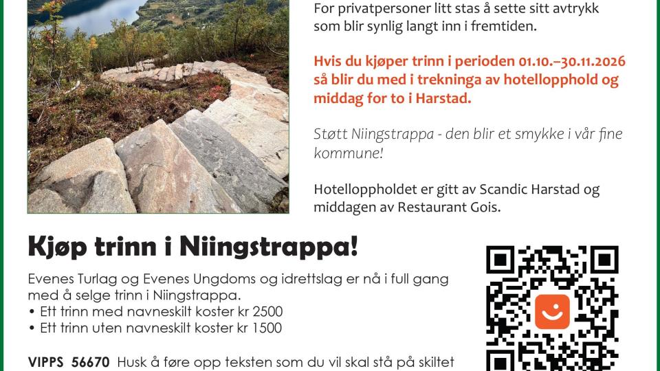 Lenke til artikkel: Kjøp av trinn i Niingstrappa