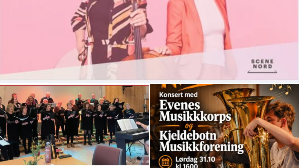 Lenke til artikkel: Flotte konsertopplevelser i Evenes ut oktober!